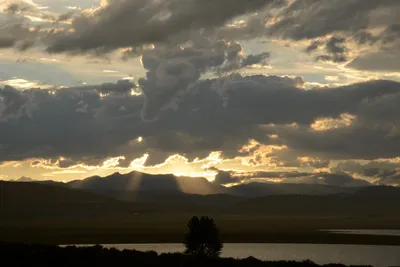 DSC_3302 (Large).JPG